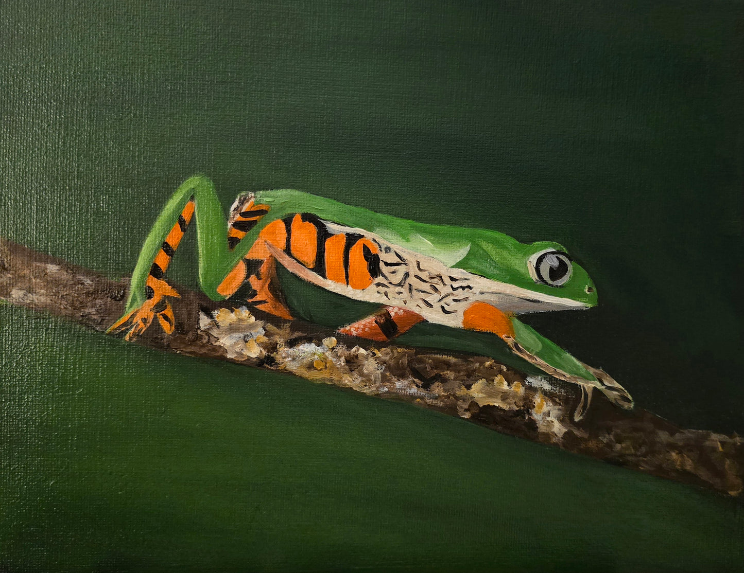 Frog on Branch