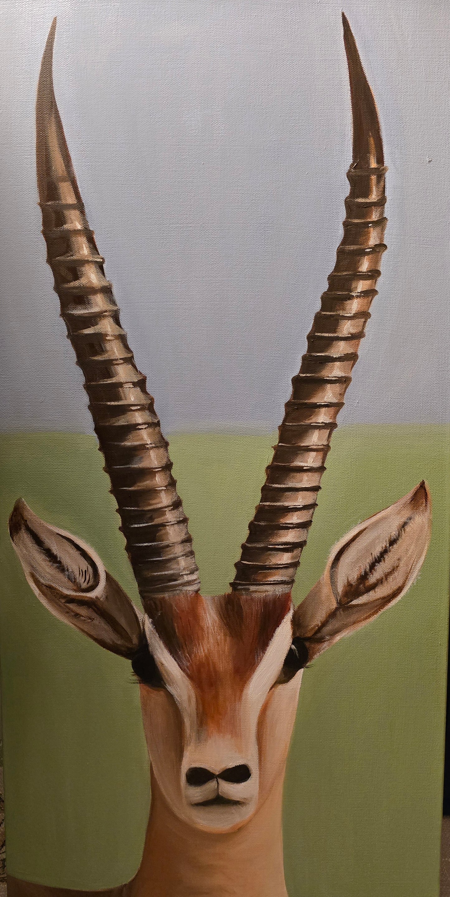 Grant's Gazelle