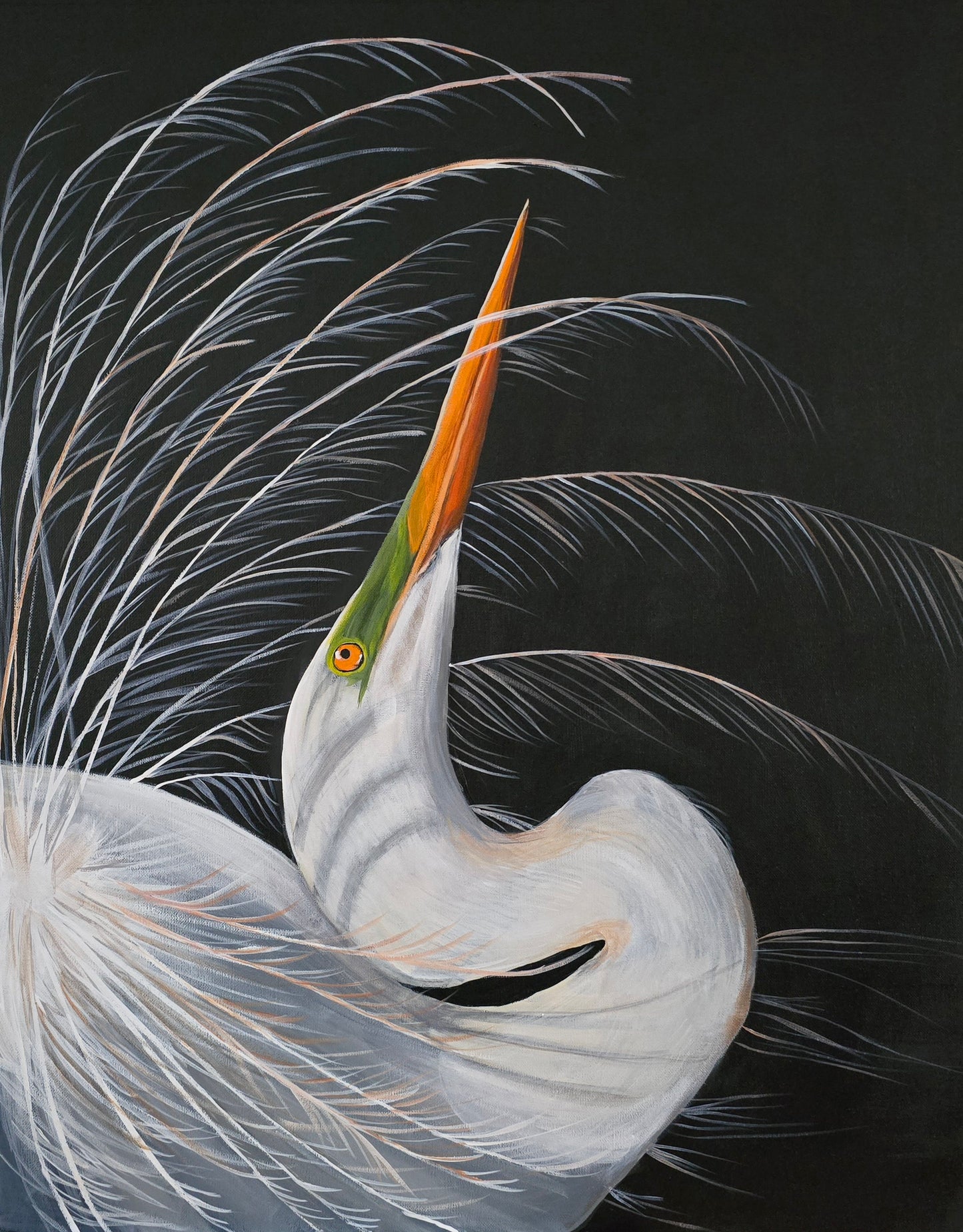 Great Egret