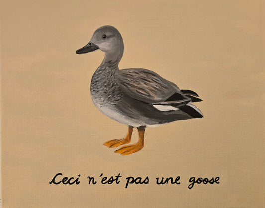 The Treachery of Birds