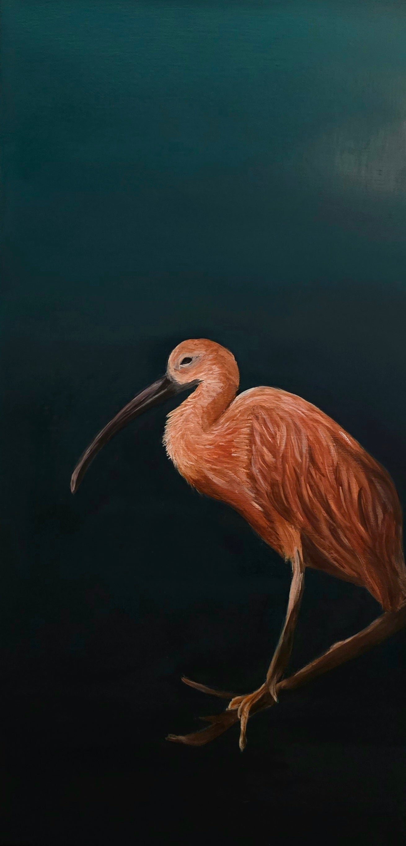 Scarlet Ibis