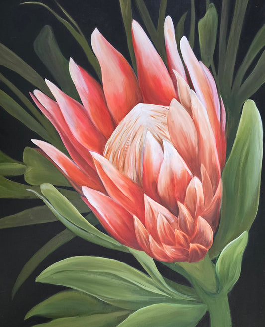 King Protea