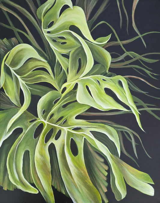 Monstera 2