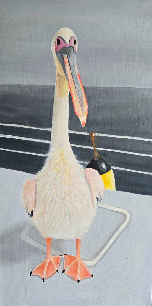 Pelican