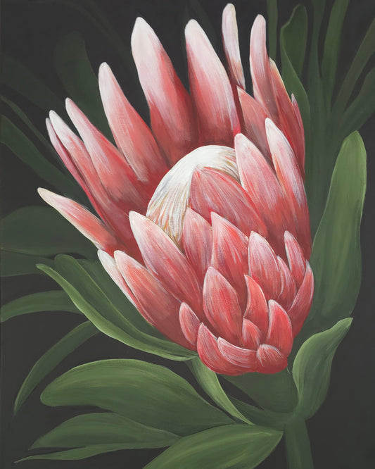 King Protea