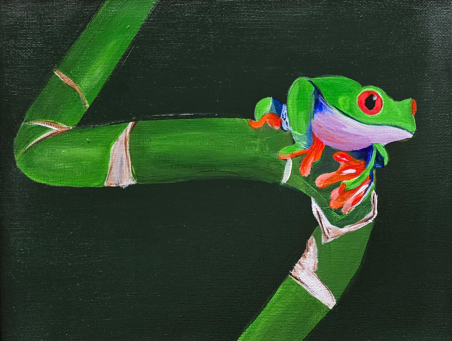 Bamboo Frog