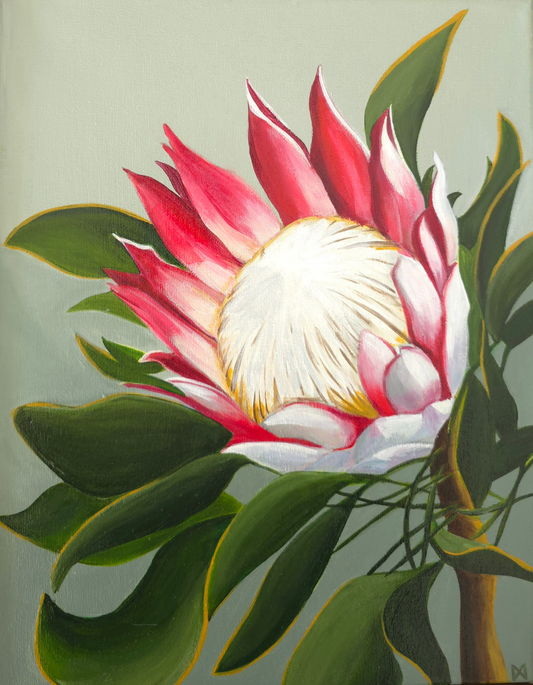 Protea on Green