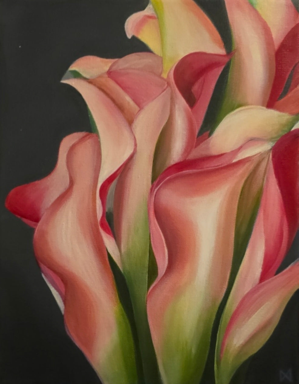 Calla Lily Study