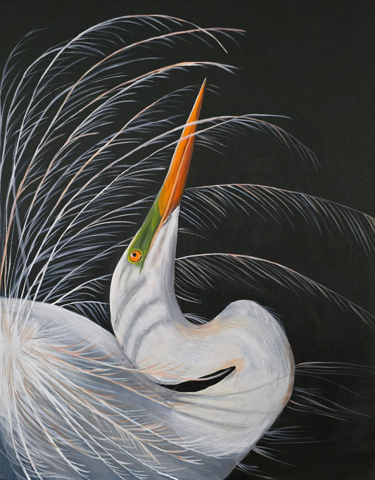 Great Egret