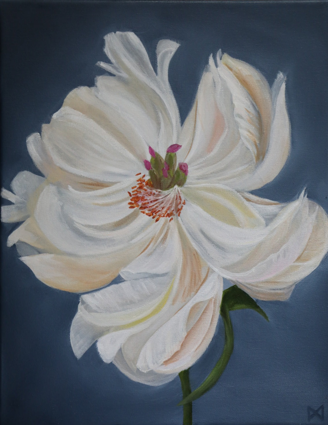 White peony