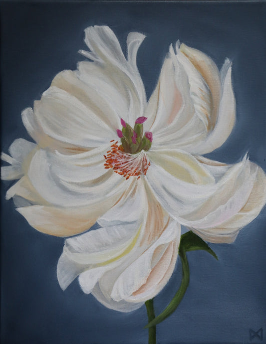 White peony